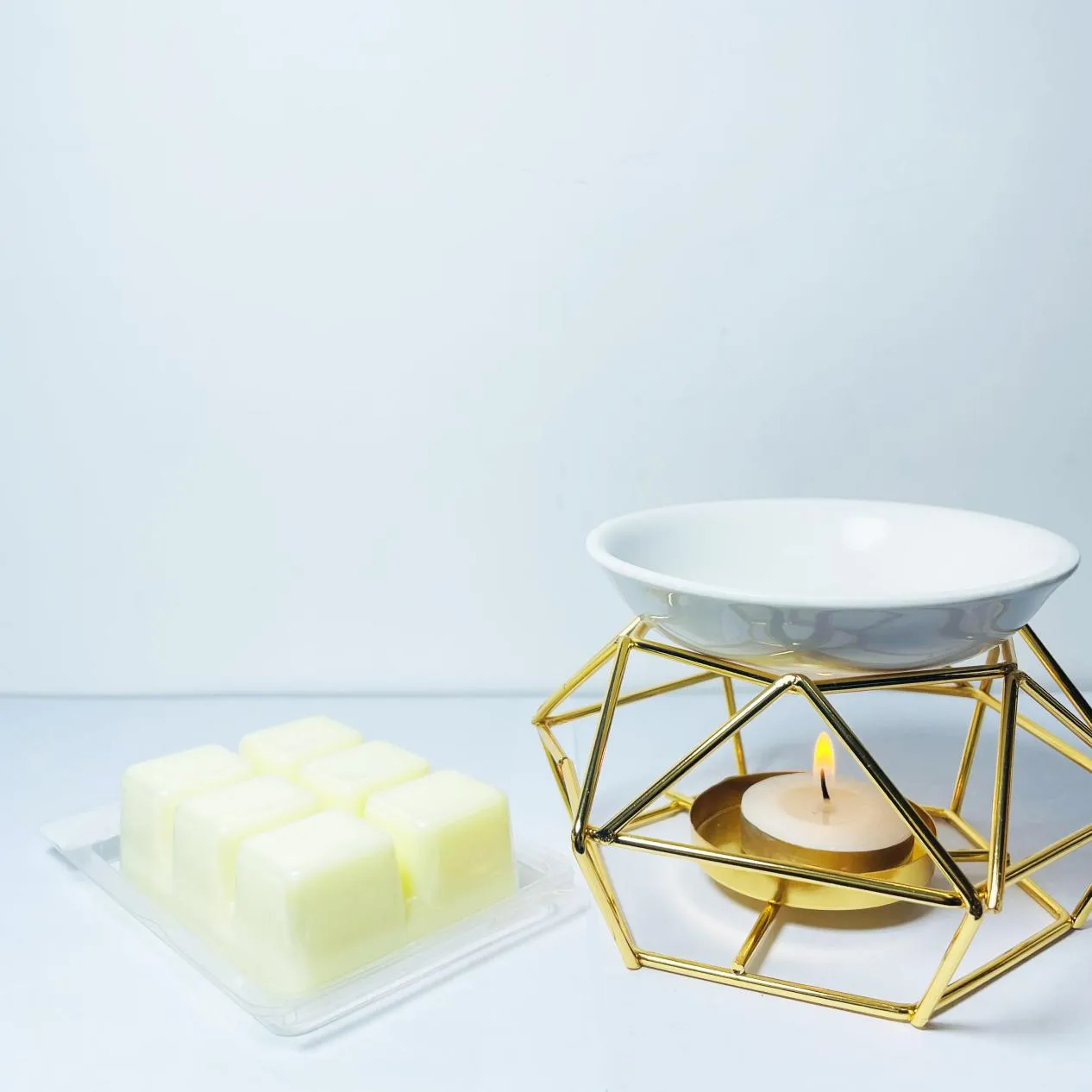 &lt;trp-post-container data-trp-post-id=&#039;707&#039;&gt;Stylish Ceramic Oil Burners – Elevate Your Space&lt;/trp-post-container&gt;